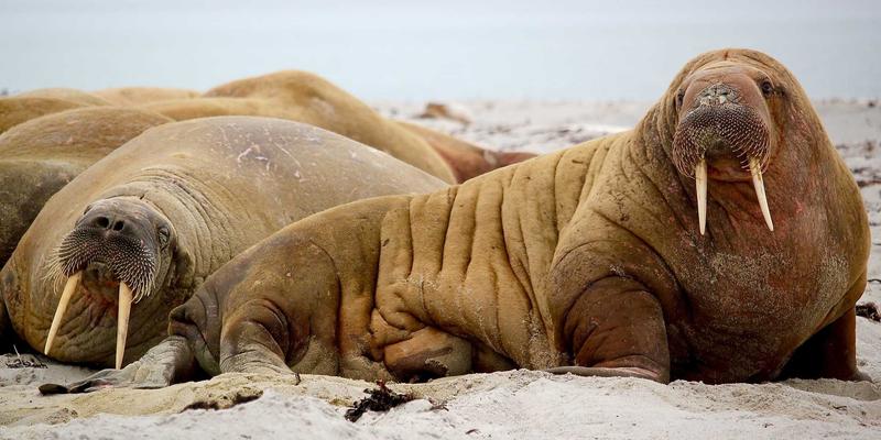 Abbott's Story21：当虚构成为现实，故事如何重塑我们的世界