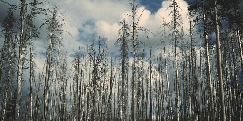 Abbott's Story3：当虚构叙事遇见写作社群，故事如何获得新生