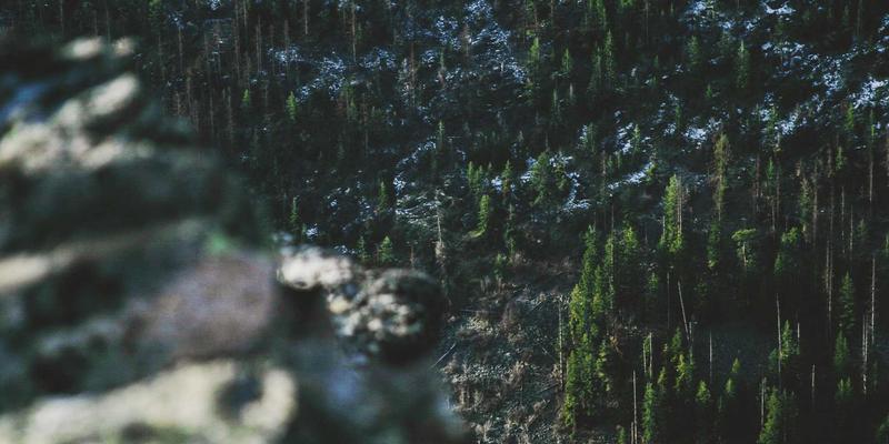 Abbott's Story61：当虚构成为容器，创意写作如何重塑我们的故事分享方式