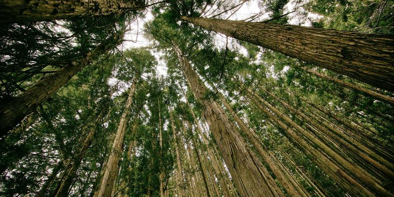 Abbott's Story74：当虚构照进现实，故事分享如何重塑创意写作