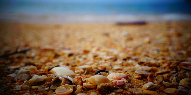 Abbott's Story7：一个叙事实验如何重塑虚构创作社区