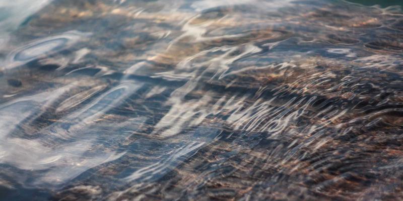 Abbott's Story与写作社区：如何通过创意写作塑造卓越的组织文化