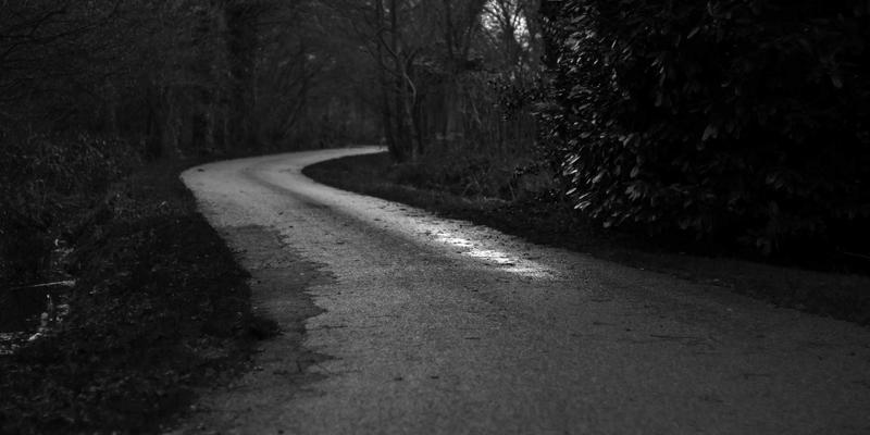 Abbott's Story:在虚构叙事中寻找共鸣,如何加入蓬勃发展的写作社区