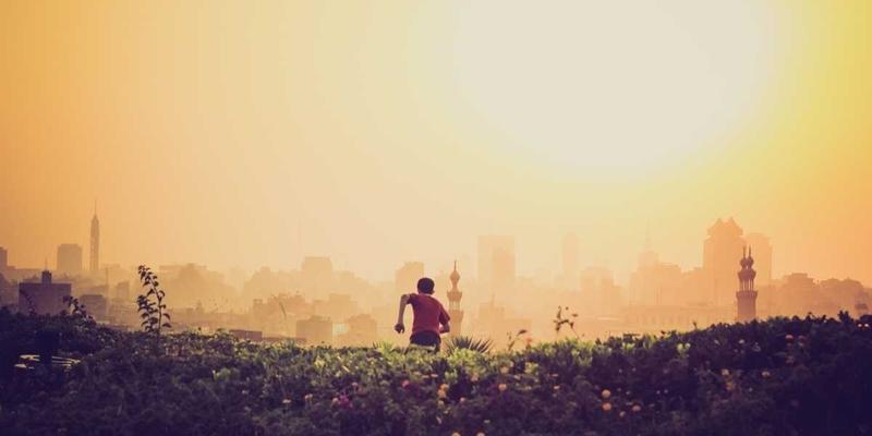 Abbott's Story 完全使用指南：在创意写作社区中分享与成长