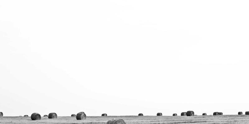 从Abbott's Story看医疗品牌如何运用创意写作与叙事韧性应对社交媒体危机