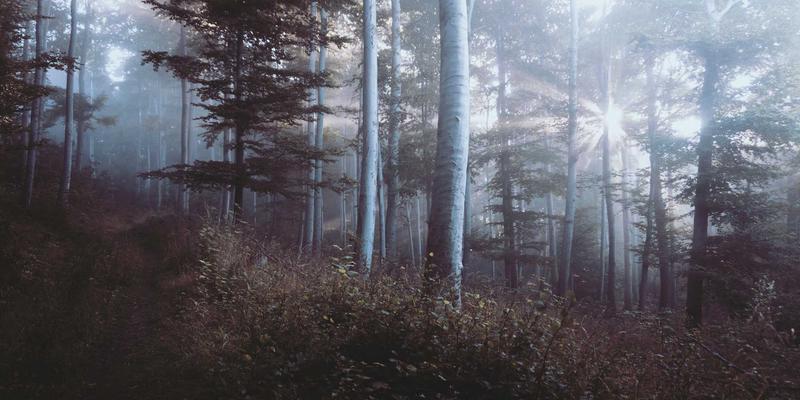 从危机到信任：Abbott's Story如何用创意写作重塑医疗沟通叙事