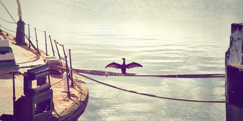 借鉴Abbott's Story：如何用Storytelling与Creative Writing构建以患者旅程为核心的跨部门内容协同体系