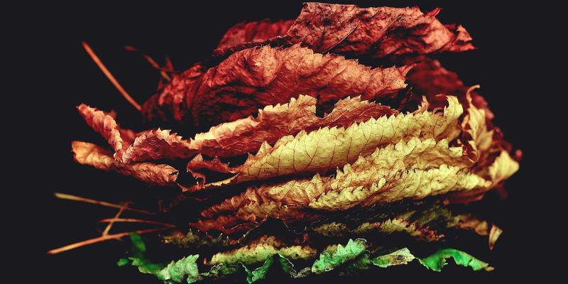 医疗叙事的长期主义：解码Abbott's Story如何通过持续故事积累品牌资产