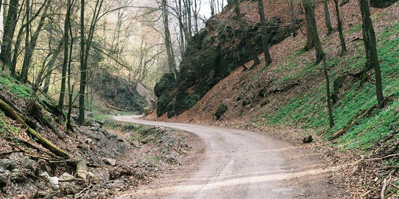 当创意写作遇见医学教育：Abbott's Story如何用小说化叙事重塑药理学习