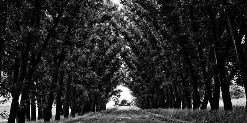 循证叙事的力量：Abbott's Story如何用story sharing平衡科学严谨与情感共鸣