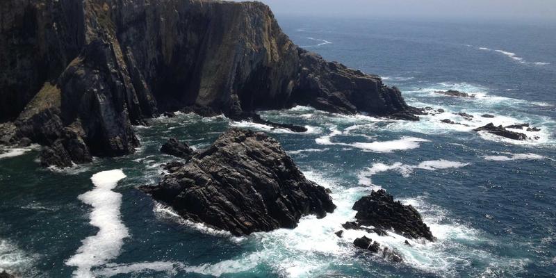 跨平台叙事一致性：Abbott's Story在社交媒体、官网与白皮书中的协同传播策略